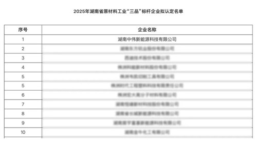湖南Z6尊龙时凯新能源获评湖南省原资料工业“三品”标杆企业以创新赋能高质量发展